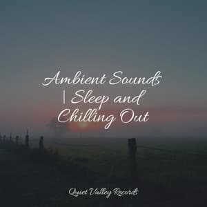 Ambient Sounds | Sleep and Chilling Out - Reiki Tribe