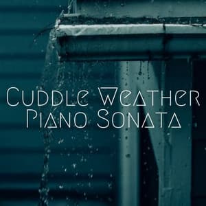 Cuddle Weather Piano Sonata - Spa Collective