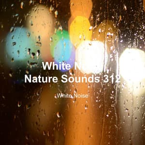 White Noise 312 - White Noise