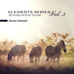 Elements Series: Vol. 3, 3D Audio African Sunset - Jonas Samaii