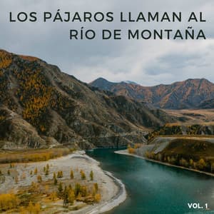 Los Pájaros Llaman Al Río De Montaña Vol. 1 - Paisajes sonoros épicos
