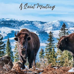 A Quiet Meeting - Beach Top Sounders
