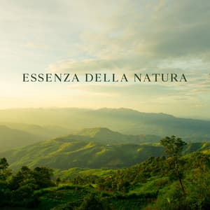 Essenza Della Natura: Serenità E Suoni Naturali Per Rilassarsi, Meditare, Riposare - Melodie Rilassanti Della Natura
