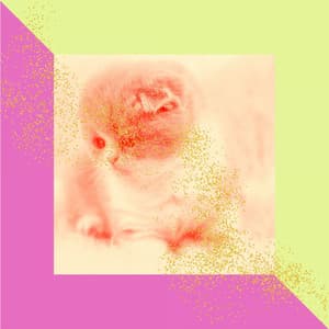 Son Montuno - Music for Quirky Cats - Cat Sleeping Music Project