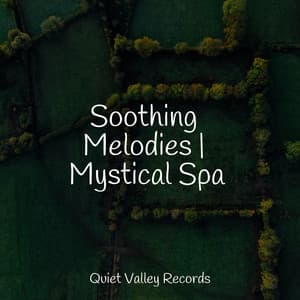 Soothing Melodies | Mystical Spa - Meditation Zen