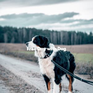 Free Day with Dog - Dog Calming Music