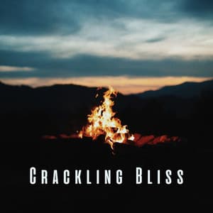 Crackling Bliss: Relaxation with Bonfire Sounds ASMR - Total ASMR