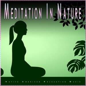 Meditation in Nature: Native American Relaxation Music - Sleep Music: Native American Flute