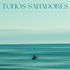 Tonos Sanadores: Suaves Lloviznas Para Poner La Mente En Blanco - Meditaciónessa