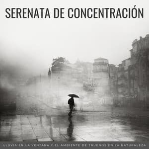 Serenata De Concentración: Lluvia En La Ventana Y El Ambiente De Truenos En La Naturaleza - Lofiwaala