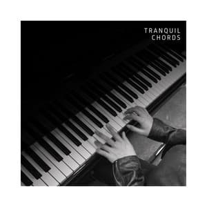 Tranquil Chords: Chill Piano Instrumentals - Acoustic Piano Collective