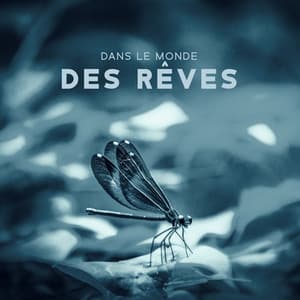 Dans le monde des rêves: Sons de la nature pour un sommeil réparateur, Soulagement de l'insomnie - Musique Coeur de la Nature