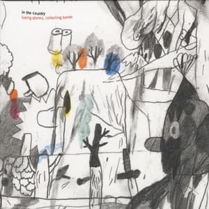 Losing Stones, Collecting Bones - In The Country