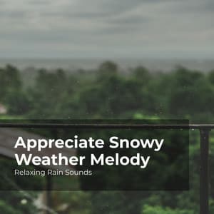 Appreciate Snowy Weather Melody - Relaxing Rain Sounds