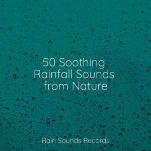 50 Soothing Rainfall Sounds from Nature - Musica para Bebes