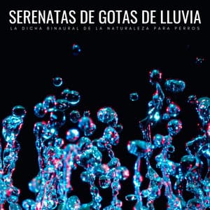 Serenatas De Gotas De Lluvia: La Dicha Binaural De La Naturaleza Para Perros - Sonidos de lluvia ASMR