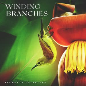 Winding Branches - Elements of Nature