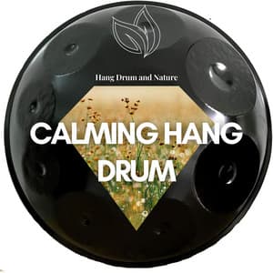 Calming Hang Drum - Hang Drum and Nature