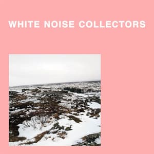 White Noise: Quiet, Delicate, Gentle and Small Sounds - White Noise Collectors