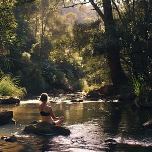 Río Sereno: Sonidos Armoniosos Para La Meditación - Nirvana del ruido