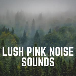 Lush Pink Noise Sounds - Pink Noise
