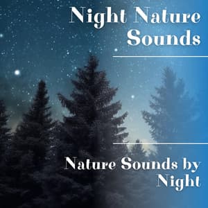 Nature Sounds by Night - Night Nature Sounds
