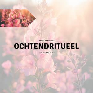Ochtendritueel - Ontspanning en Harmonie