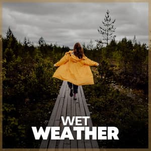 Wet Weather - Rain for Deep Sleep