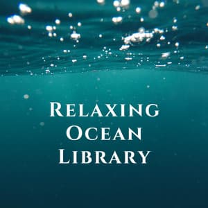 Relaxing Ocean Library - Relaxing Ocean Library