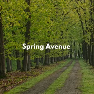 Solo Day & Spring Time - Cleaning Music Play List