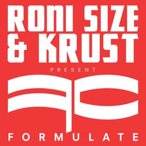 Formulate - Roni Size
