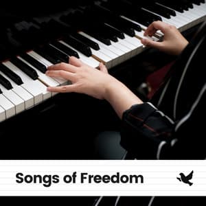Songs of Freedom - Calm Vibes