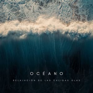 Océano: Relajación De Las Cálidas Olas - Relajacion Del Mar