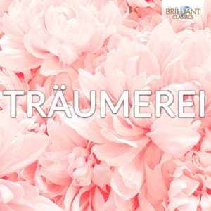 Träumerei - Robert Schumann