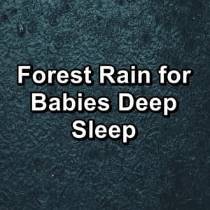 Forest Rain for Babies Deep Sleep - Thunder Storms