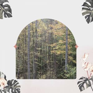 Relaxing Rituals - Background Music - Hotel Chillout Lounge