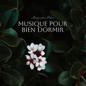 Musique pour Bien Dormir - Musique pour Dormir