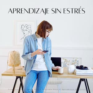 Calma Zona De Estudio: Música Relajante Para El Aprendizaje Sin Estrés - Lista de Reproducción de Estudio