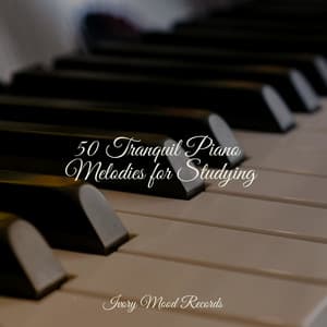 50 Tranquil Piano Melodies for Studying - Ivory Mood