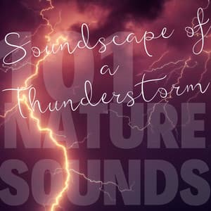 Soundscape of a Thunderstorm - 101 Nature Sounds