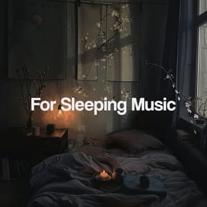 For Sleeping Music - Sleep Music
