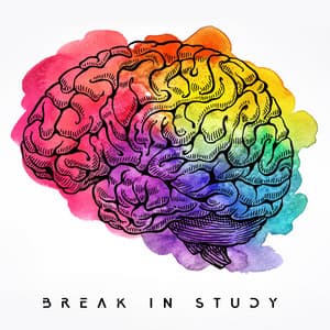 Break in Study - Prepare Your Mind for Exam, Increase Brain Power, Boost Your Abilities - Chillout Master