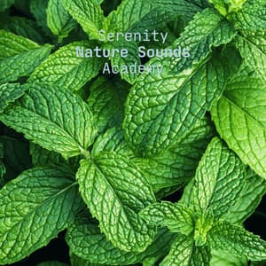 Greenery Forest - Serenity Nature Sounds Academy