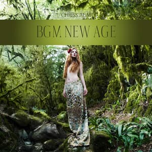 BGM New Age: Amazing Chill Out with New Age Instruments - Chriss Aum