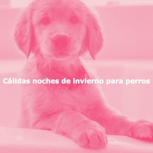 Cálidas noches de invierno para perros - Saturday Morning Playlist