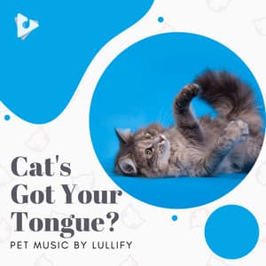 Cat's Got Your Tongue? - Pet Music by Lullify