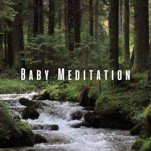 Baby Meditation: Soothing Water and Bird Sounds - Splendor of Meditation for Smoking Cessation