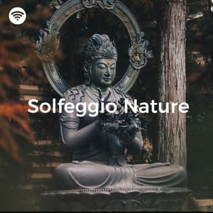 Solfeggio Nature - Healing Power Natural Sounds Oasis