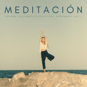 Meditación: Mejora Las Habilidades Para Aprender Vol. 1 - Relajacion Meditar Academia