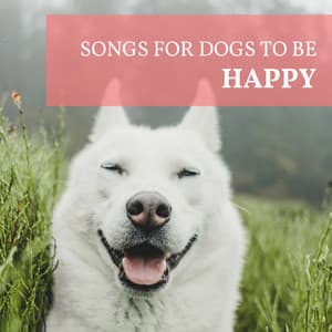 Songs for Dogs to be Happy - Calm Down Nervous Dogs, Relieve Anxiety & Stress from Separation - Music for Dogs Collective